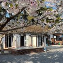 구름포해변캠핑장 이미지