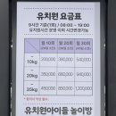 워너비독 이미지