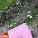 서울기독대학교 치유상담대학원 이미지