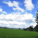 전주 하늘 이미지