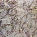 달성보약산민박 이미지