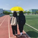 푸른달하루 네이버블로그