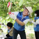 감곡2농장 이미지