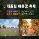 비체올린 이미지