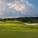 루비트리 이미지