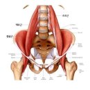 김라인샵 이미지