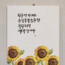 칭구반다찌 네이버블로그