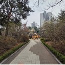 청솔마을.주공9단지.동아아파트 이미지