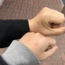 [daily _bin] 망원동 투어라고 쓰고 소품샵 털기라고 읽는다
