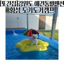 도기캠프 이미지