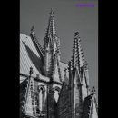 리연의원 이미지