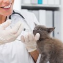 안성동물의료센터 이미지