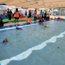 도그월드 이미지