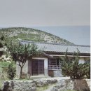 동항초등학교 Daum카페