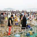 독살체험 투어코리아
