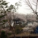 염광유치원 이미지