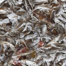 명지농장1 이미지