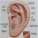 귀 건강학(이혈테라피) 네이버블로그