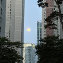 전일3체육관 | 제9회 전국동시지방선거 투표사무원 후기