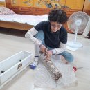 표고버섯키우기 프로그램진행 이미지