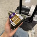 왕왕상사 | 2026-Apr(3) 모든 것이 좋아 🛫🎡🧳⚾️ | 0411-0417