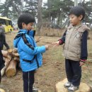 미래숲유치원 이미지