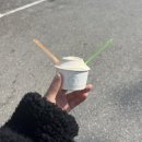 스테이폴앤메리 이미지