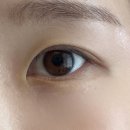 연데이뷰티 | 길동 연데이뷰티 클리닉속눈썹펌 블랙틴팅 후기