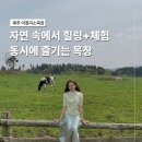 귀분목장 | 제주 아침미소목장 아이랑 가볼만한곳 송아지 우유주기 체험 후기