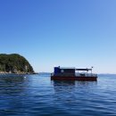 사량도 바다낚시터 이미지