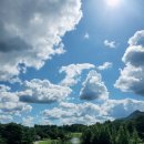 엑스골프 이미지