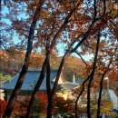 대광사 Daum카페