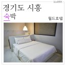 월드무인텔 이미지