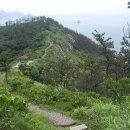 봉글레산 이미지