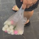 (주)서시장 | 여수 서시장 먹거리 후기 | 호박시루떡, 꿀빵 (주차가능)