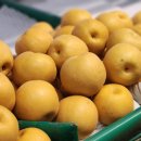 한계사슴농원 이미지