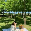 다정드레스플라워다감