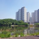 동탄호수공원 이미지
