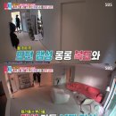 레이디제인북 이미지
