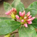 만리농장 이미지