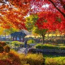 연못에 비친 단풍이 이렇게 특별할 줄이야&#34; 200년 신앙의 흔적 남은 가을 성지 이미지