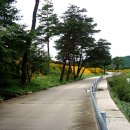 영천약수 Daum카페