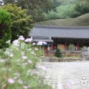 허씨전통식품 이미지