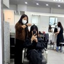 섬세헤어 | 청량리미용실 디어울헤어 하나쌤 섬세한 톤맞춤 전체염색 &새치커버 후기