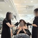 헤어지엘 | [과천 미용실] 데이지엘헤어 과천점 본식 웨딩염색 하고 온 후기 (톤다운 애쉬브라운)