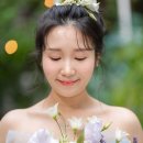디어플랜 이미지