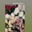 유진화원 이미지