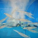 서귀동-36 이미지