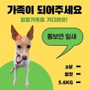 새동보약국 네이버블로그