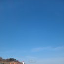 아도니스민박 | 풍도 야생화 여행 한적한 섬여행지 좋아~